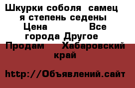 Шкурки соболя (самец) 1-я степень седены › Цена ­ 12 000 - Все города Другое » Продам   . Хабаровский край